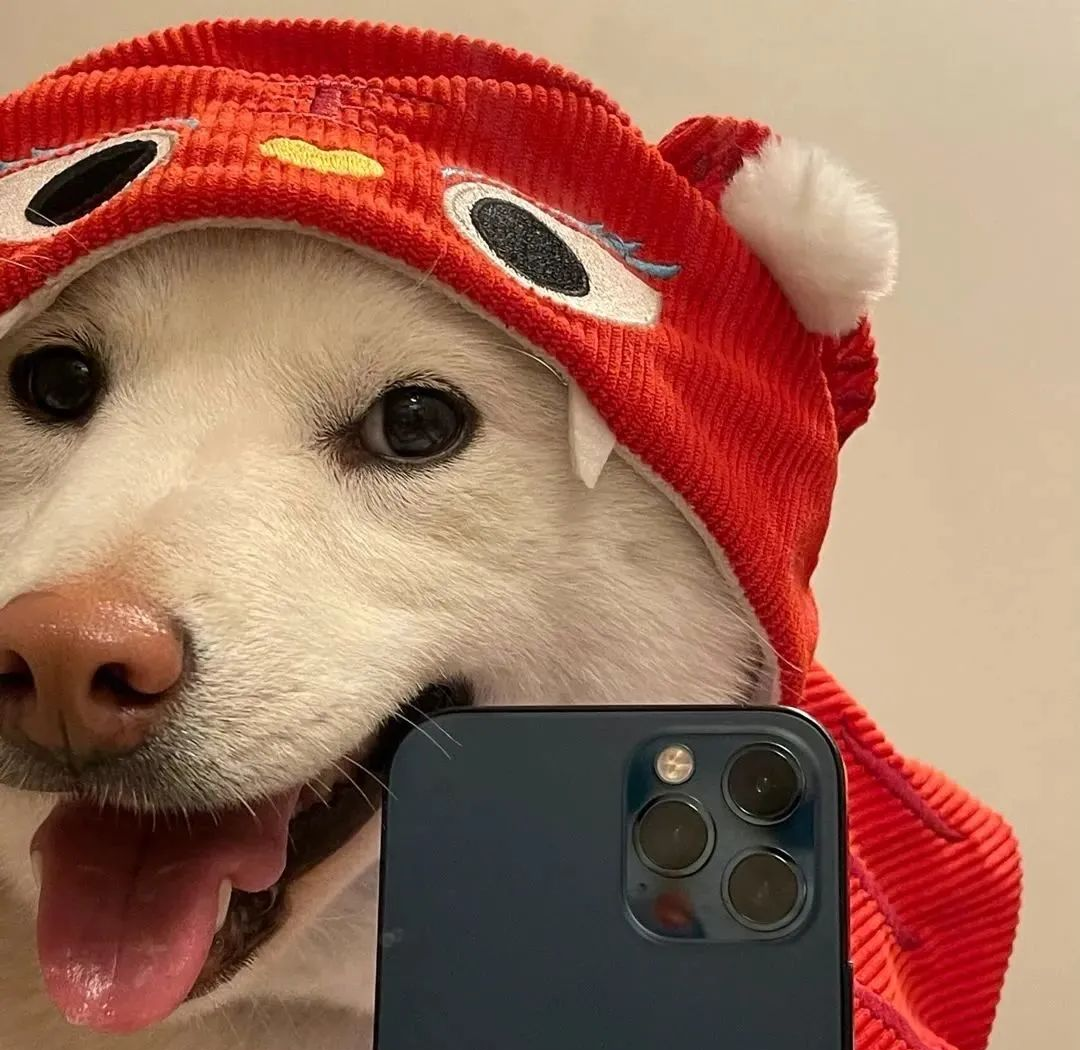 2024年多款帅气冷酷动漫男生头像推荐