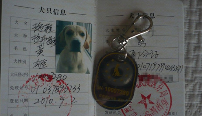 天津市狗证图片