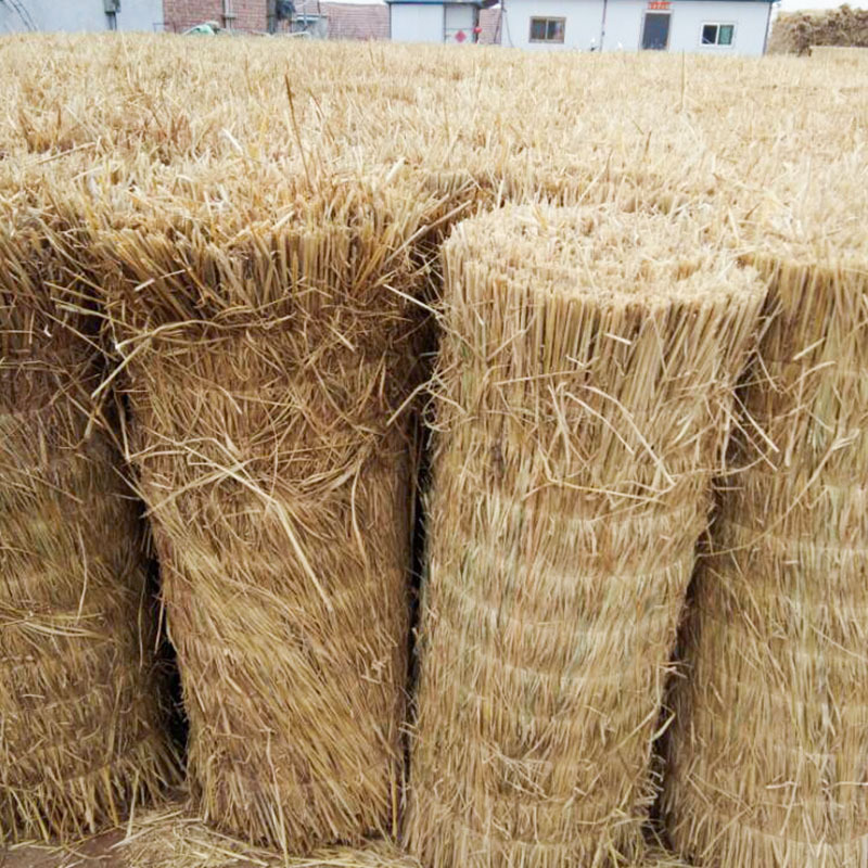 想要买到适合的保温草帘,选购方法很重要!