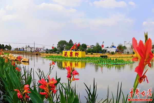 长沙县果园镇:"数字果园" 探索数字乡村建设新模式