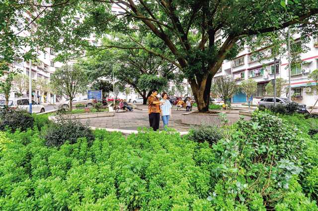 丰都 强弱项补短板 老旧小区换新颜