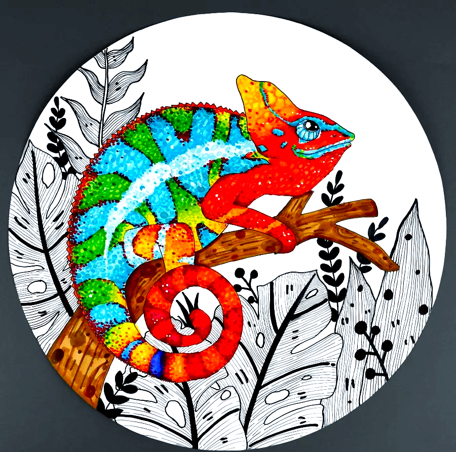 探索变色龙的艺术魅力与绘画技巧