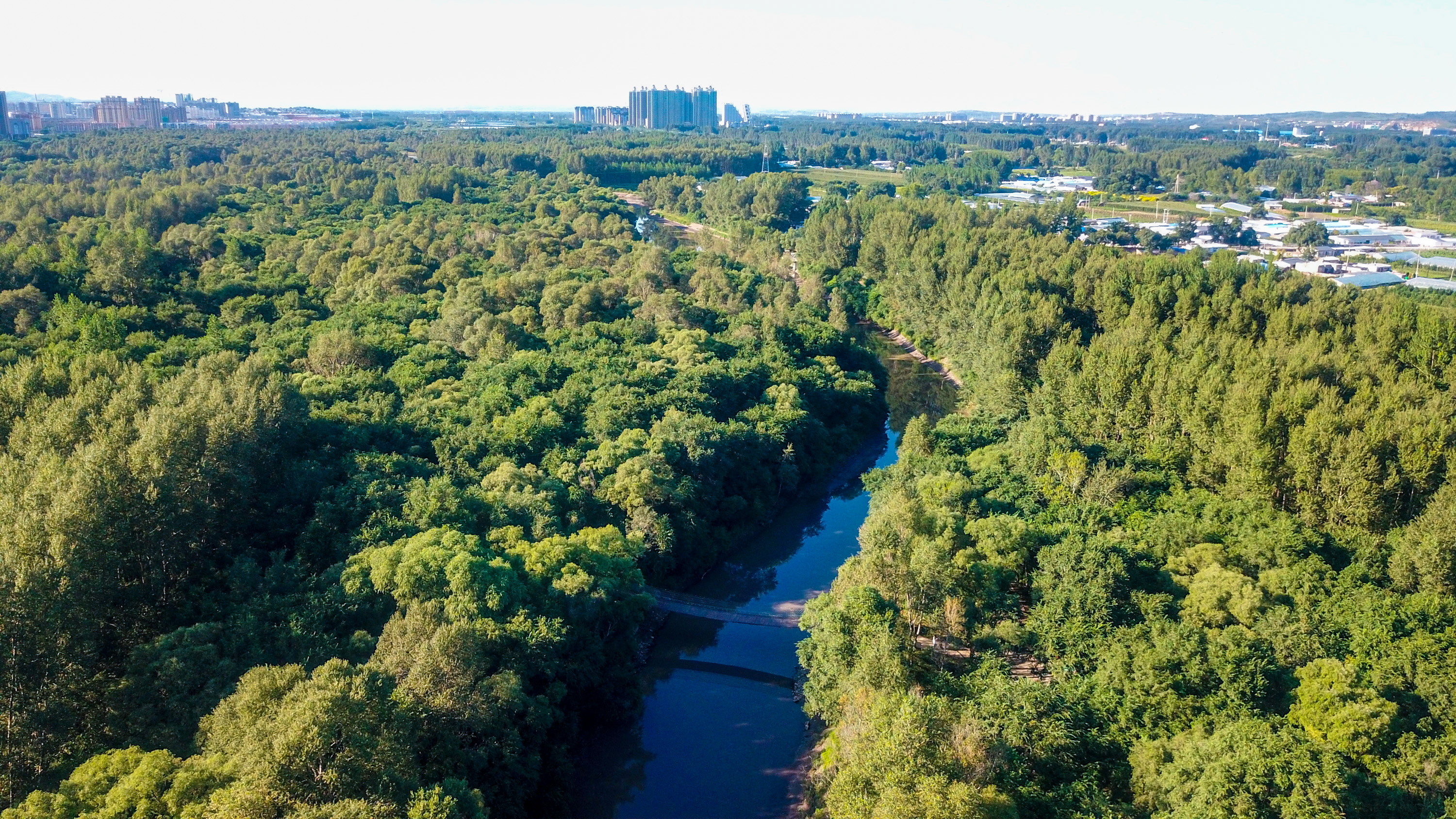 (环境)内蒙古乌兰浩特:洮儿河国家湿地公园景色美