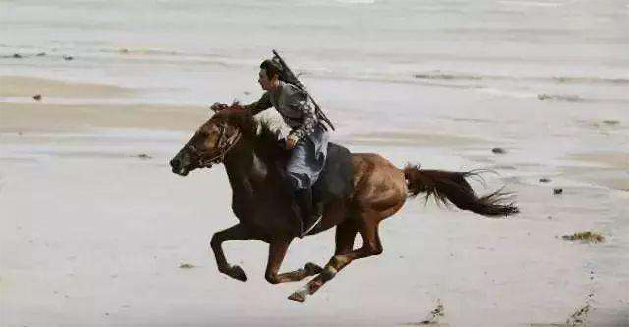 有一种快递,叫"八百里加急"