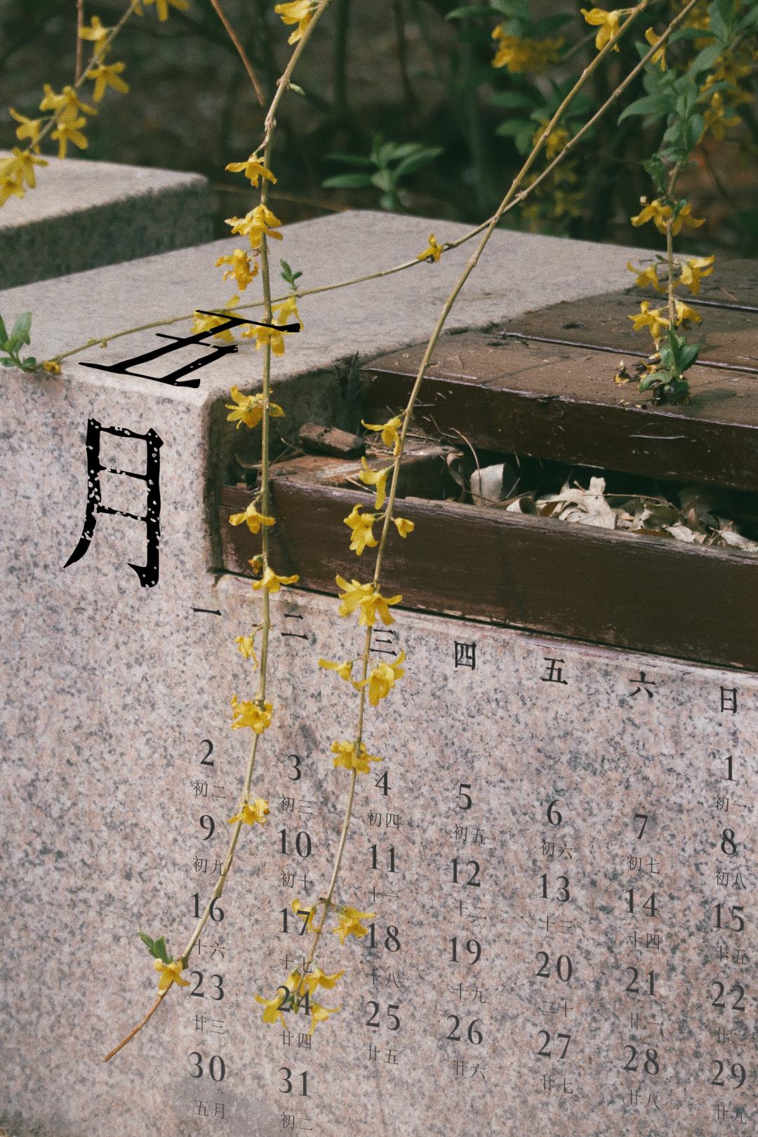 五月壁纸 | 绿叶,阳光,五月的法大