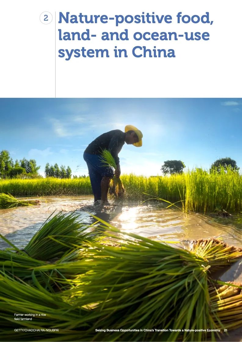 报告:中国迈向自然受益型经济的机遇