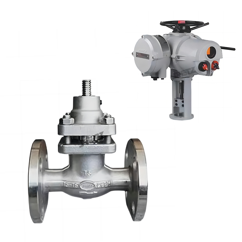 进口电动柱塞阀原理