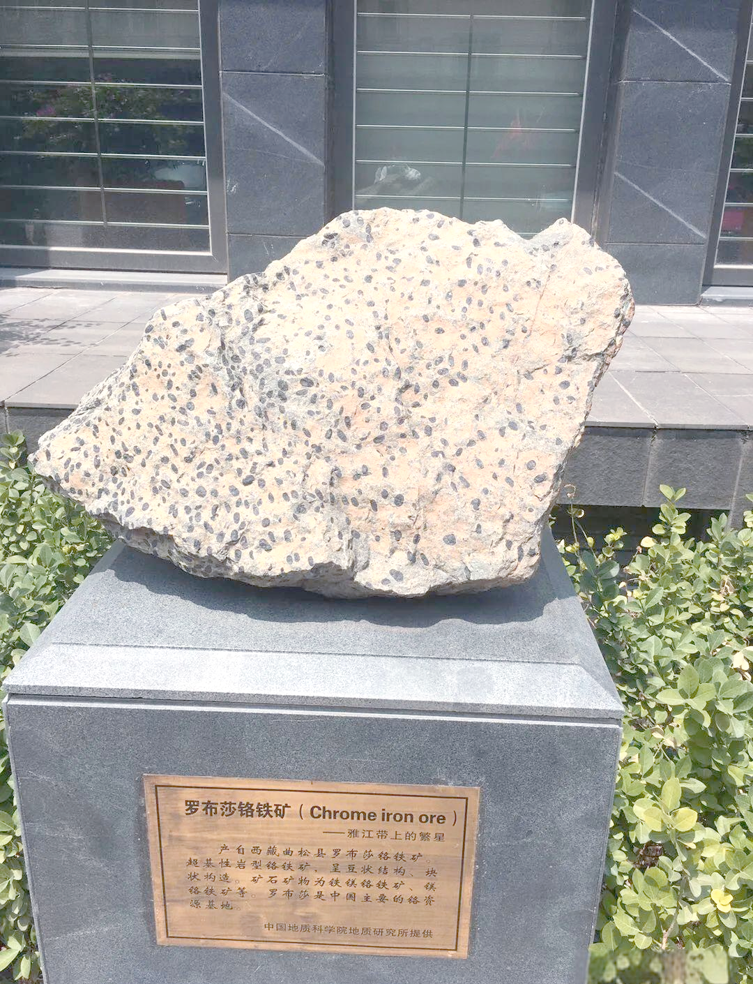 探秘多样的矿石岩石标本