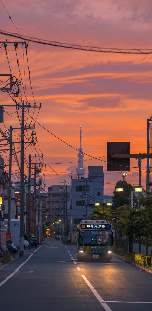 壁纸|夜幕下的都市美景壁纸