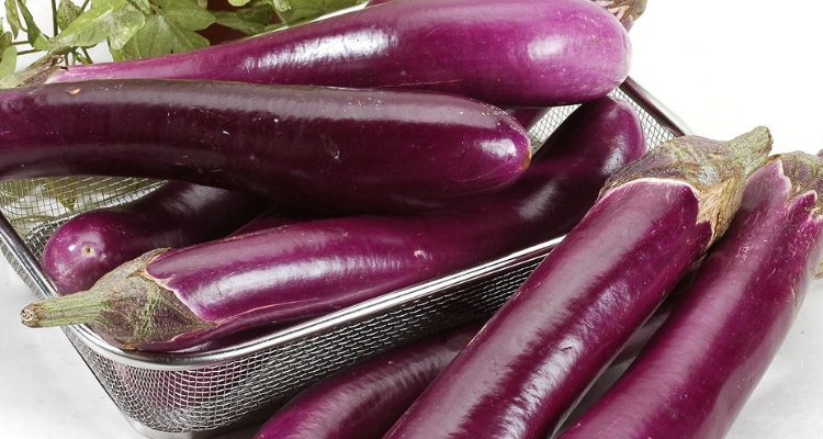 紫色树 紫色花 紫花开了结紫瓜是什么东西