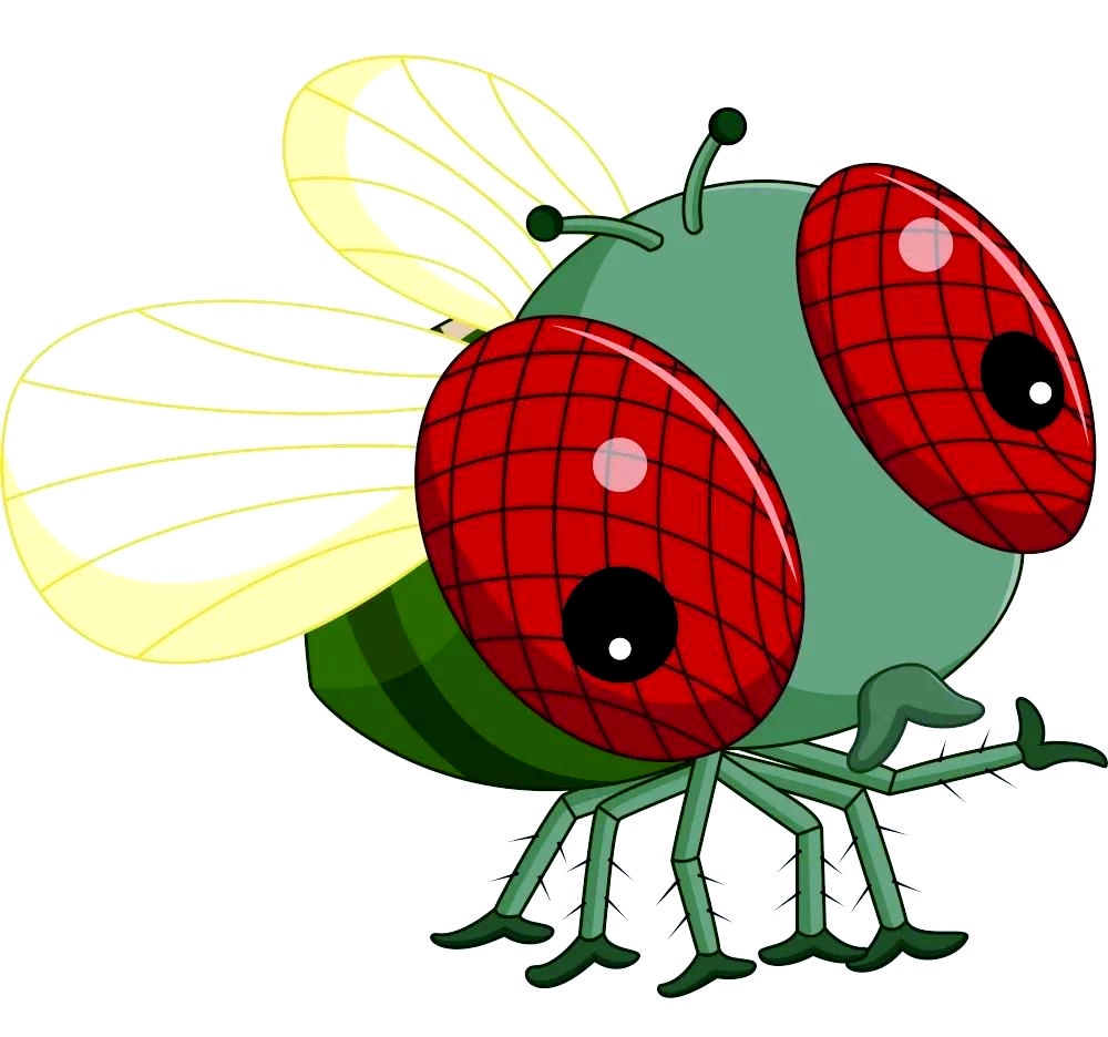 苍蝇:从生长习性到防治策略全面解读