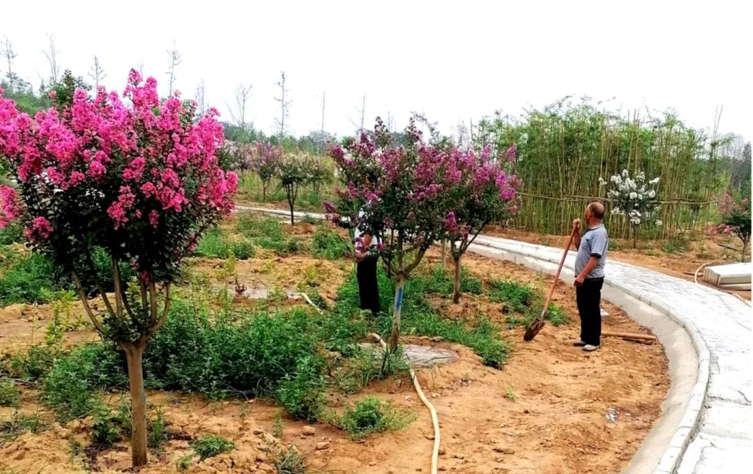 国土空间生态修复典型案例丨河南南太行地区山水林田湖草生态保护修复工程——鹤壁市黑山头玄武岩矿矿山环境生态治理项目i自然全媒体2024-01-05 16:01i自然全媒体2024-01-05 16:01