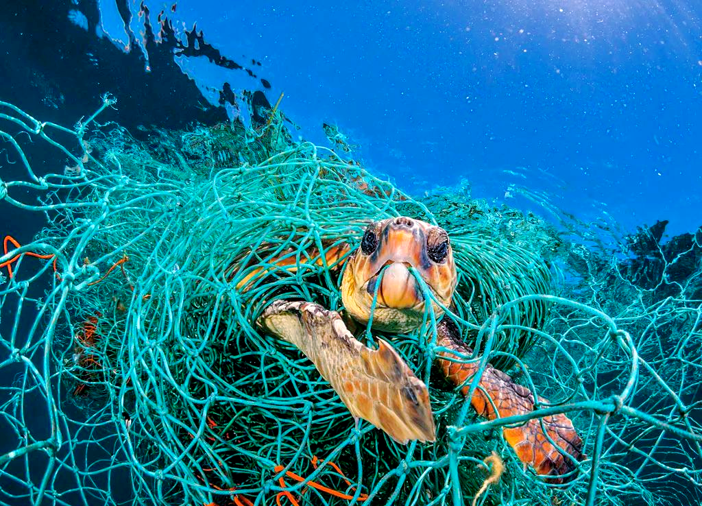 全球海洋污染现状及危害探究