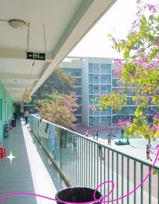 广州为明学校:从优秀到卓越的教育旅程