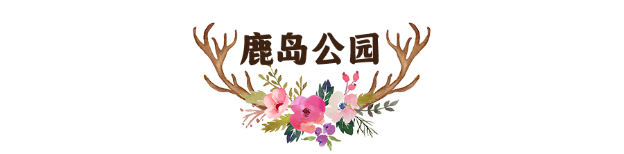 门票免费送!江夏鹿岛公园开园啦