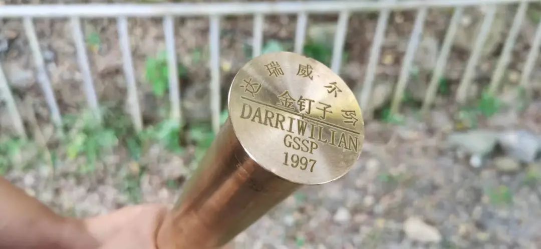 好书推荐这里有关于地层金钉子最权威的解读