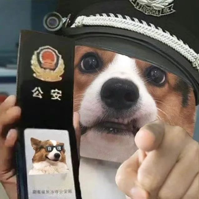 沙雕表情|猫狗警察指人表情包