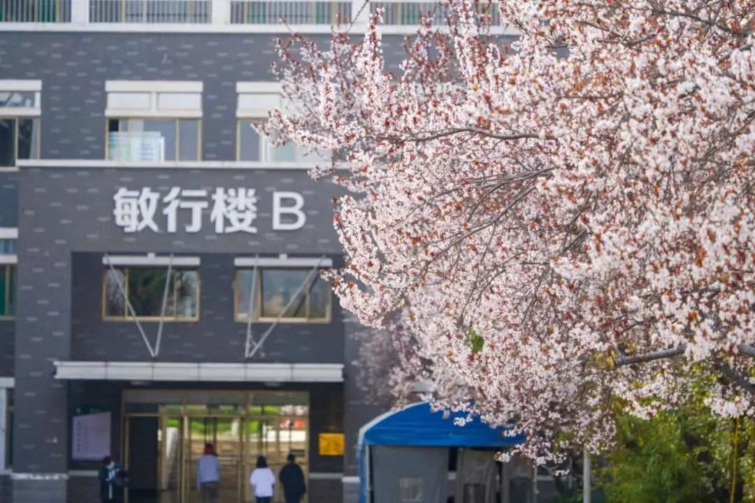 山东青年政治学院2024年公开招聘工作人员简章(博士)