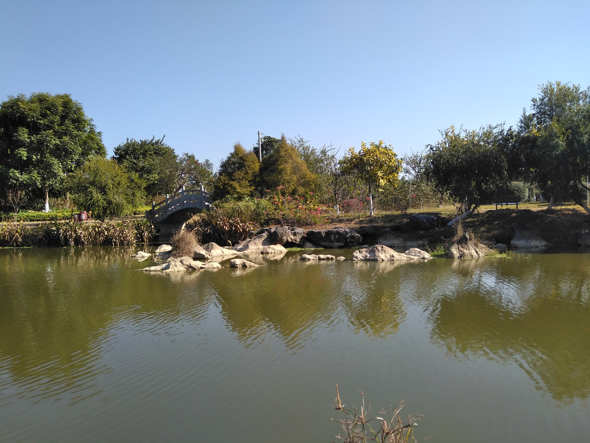 广西玉林这公园,有精美的园林景致,是国家级4a景区却免门票