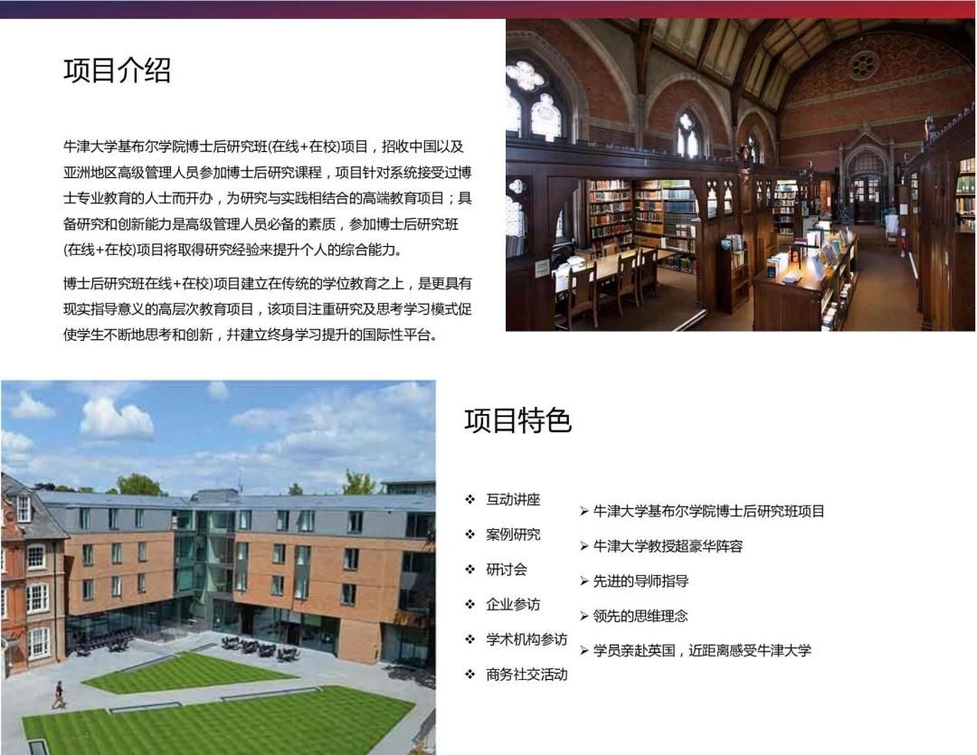 大学项目简介怎么写(大学生项目简介怎么写100)