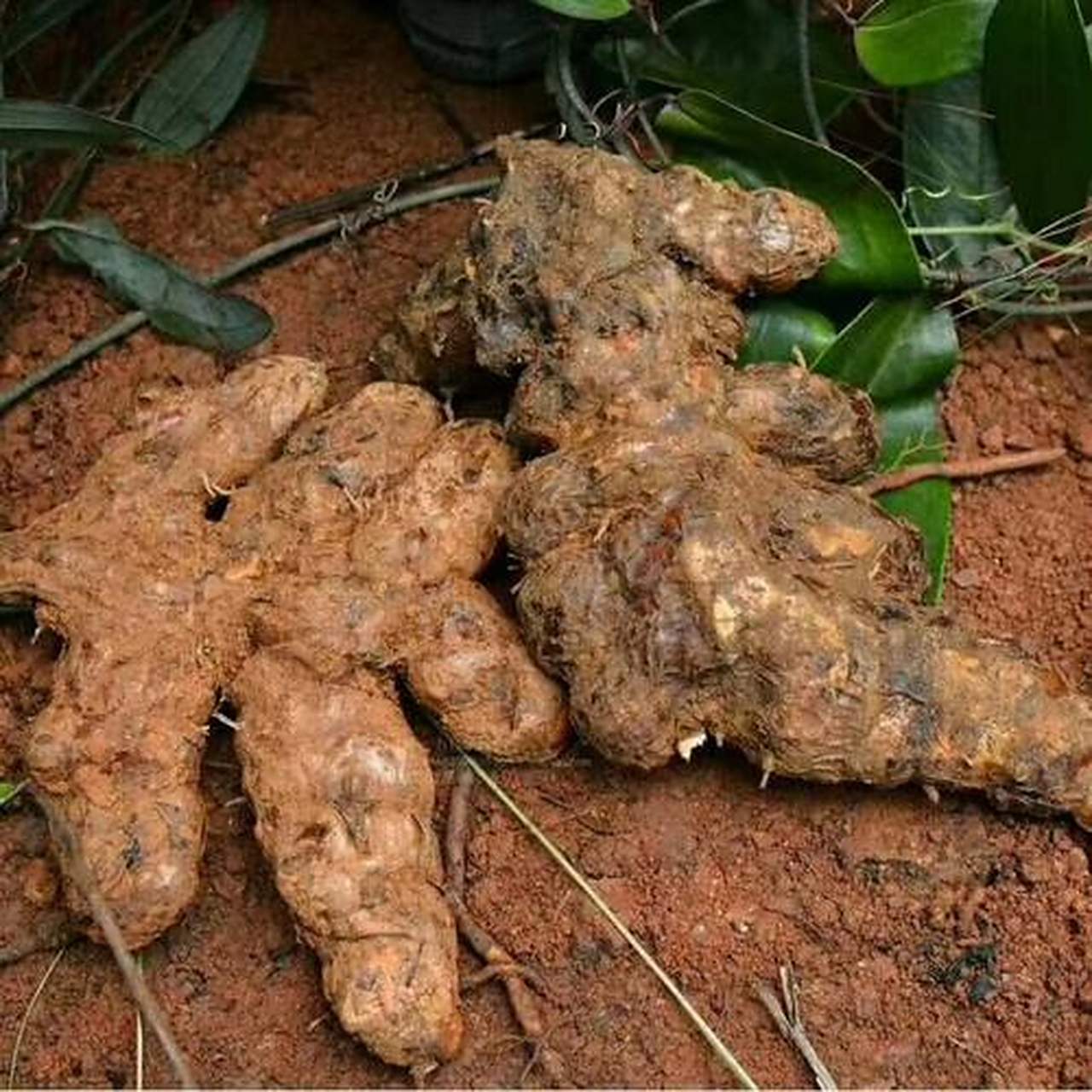 名词解释 【阿是穴】    阿是穴又名不定穴,天应穴.