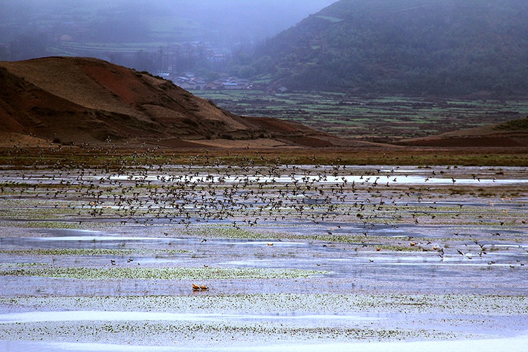 深藏在大凉山深处的最美湿地——布拖县乐安湿地