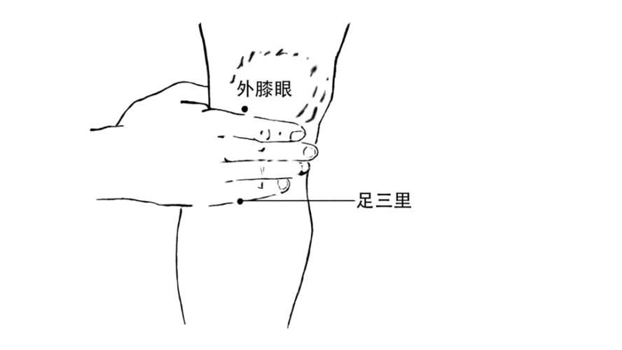 魏氏风池穴治疗疾病的独特见解与丰富实践