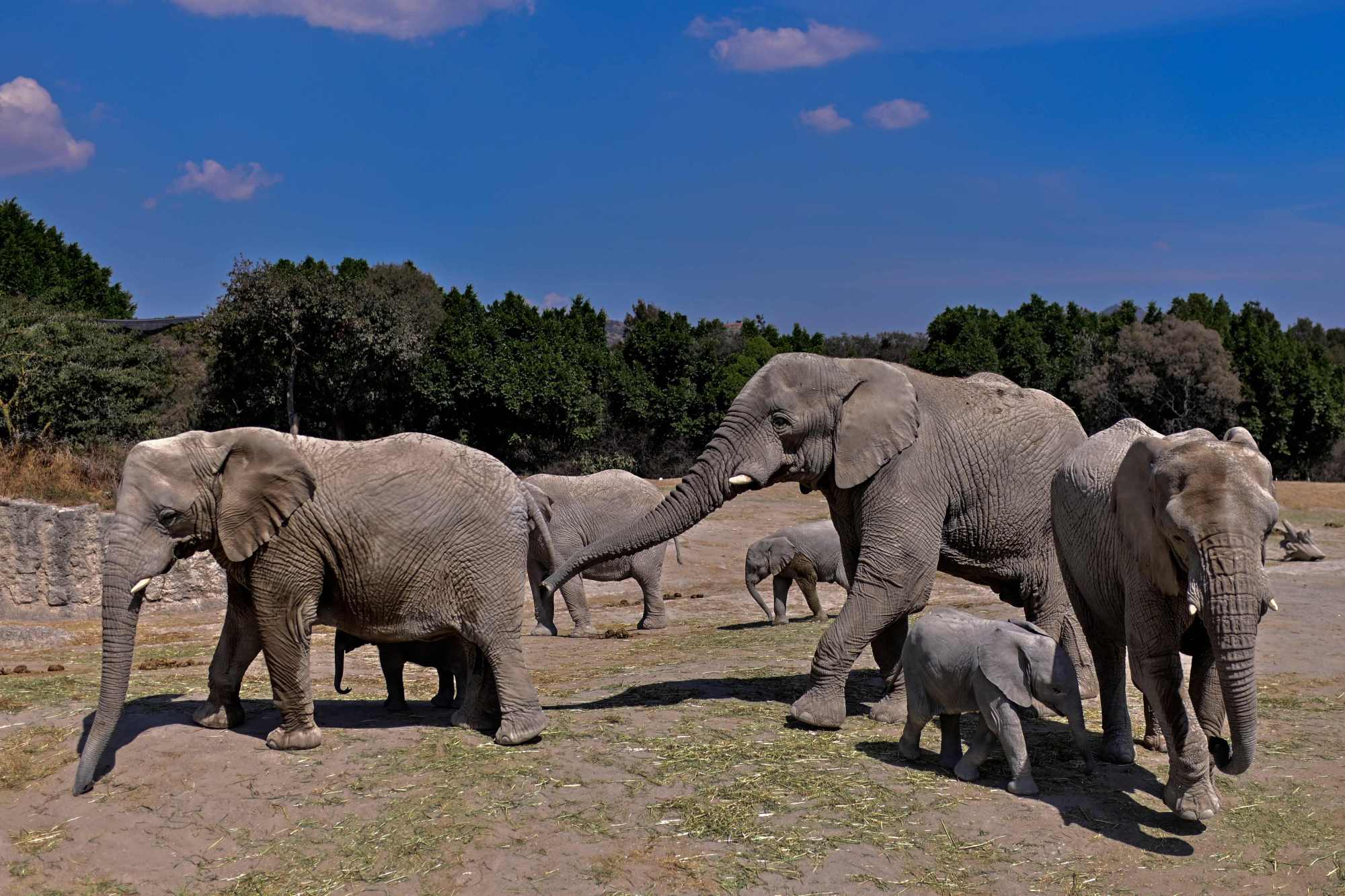 (13)墨西哥的野生动物园