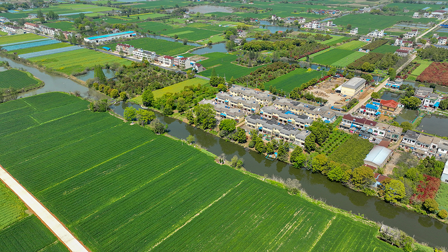 芜湖湾沚区六郎镇:碧波千顷 生态大港