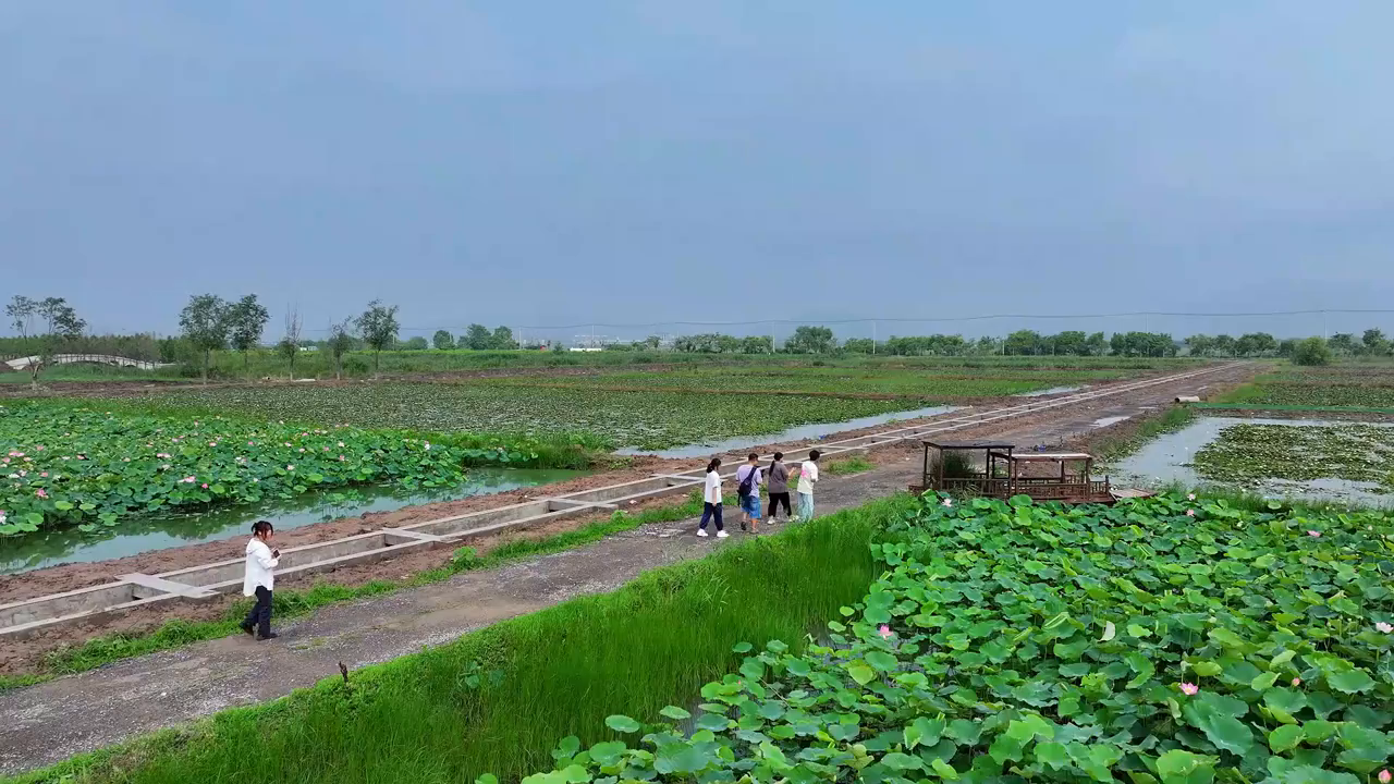 云水湾湿地公园图片