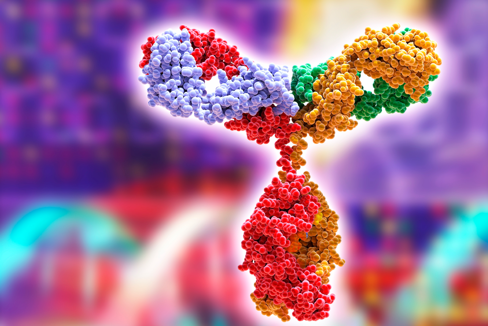 噬菌体作为用于抗菌治疗和疫苗开发的潜在工具