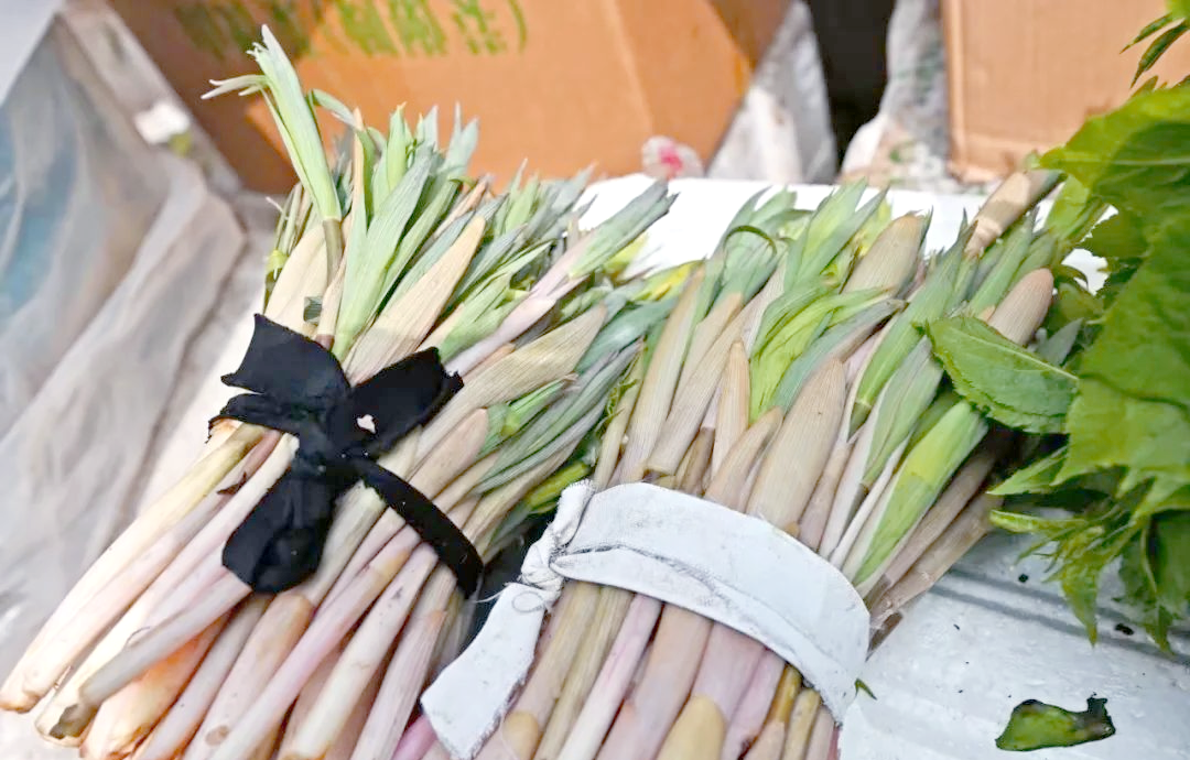 本溪春天山野菜全攻略:尝鲜与健康兼备