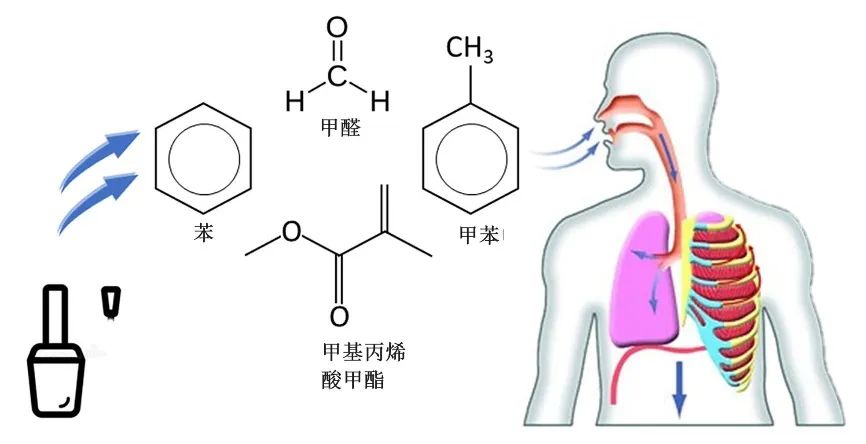 苯乙烯毒性图片