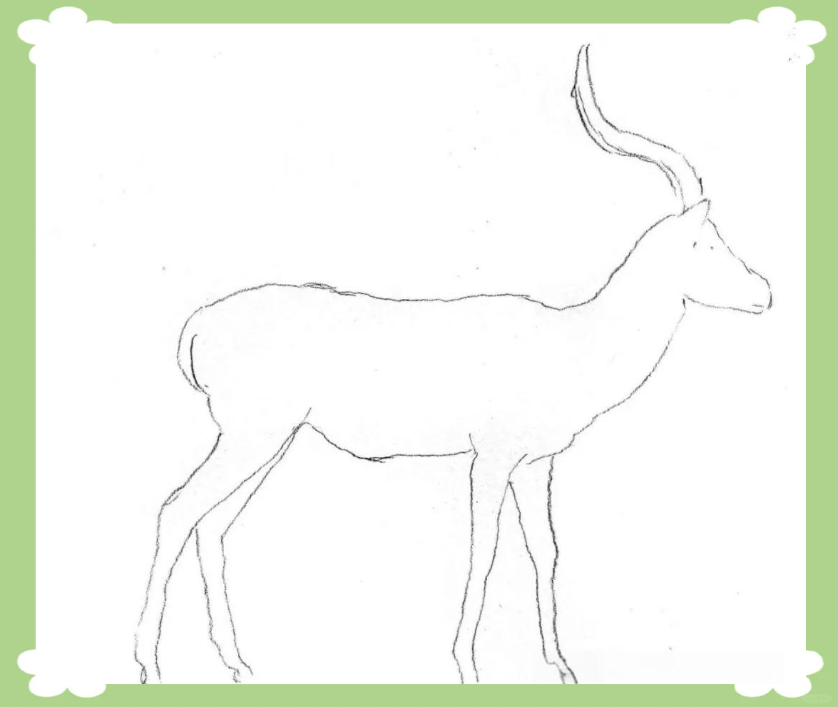 素描羚羊的优雅画法与详细步骤说明