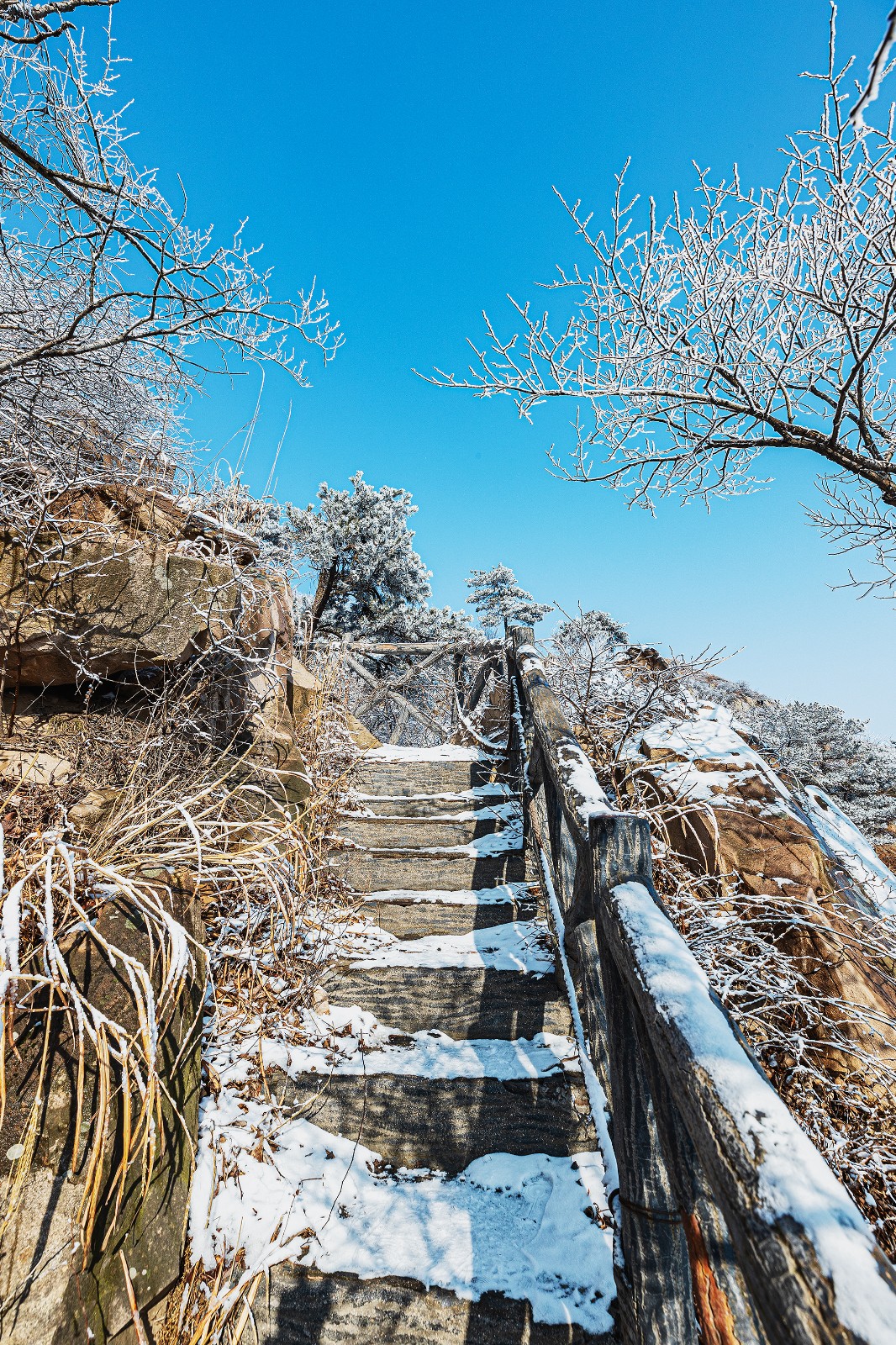 高清多图!这里有一份五莲大青山雾凇超美靓照