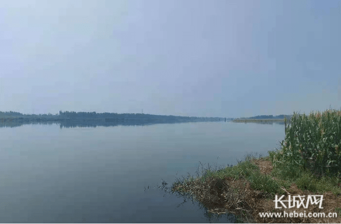 漳卫新河持续高水位大流量行洪沿线各地确保河道行洪通畅安全