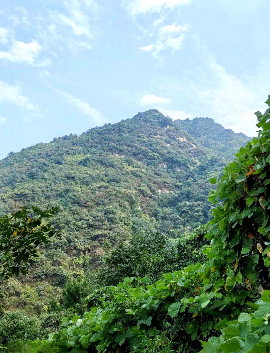秦岭紫阁峪探秘:千年古塔与摩崖石刻的传奇之旅