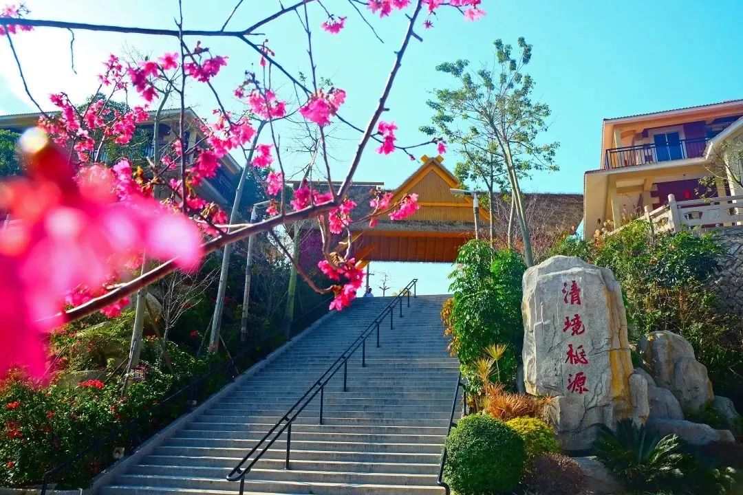 暑期旅游热南安特色游人气旺趣味多