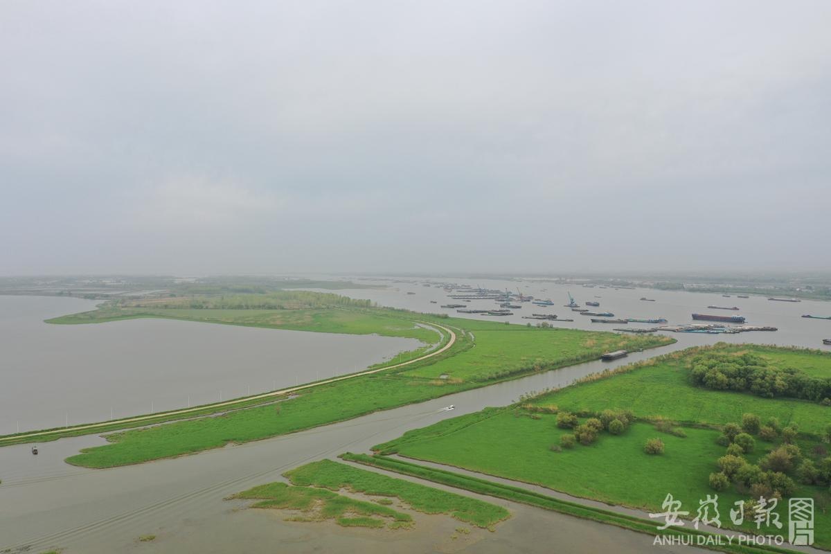 安徽芜湖:十里江湾湿地美