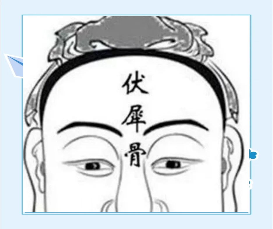 伏羲骨将军骨,位于眼角上方,延伸至耳