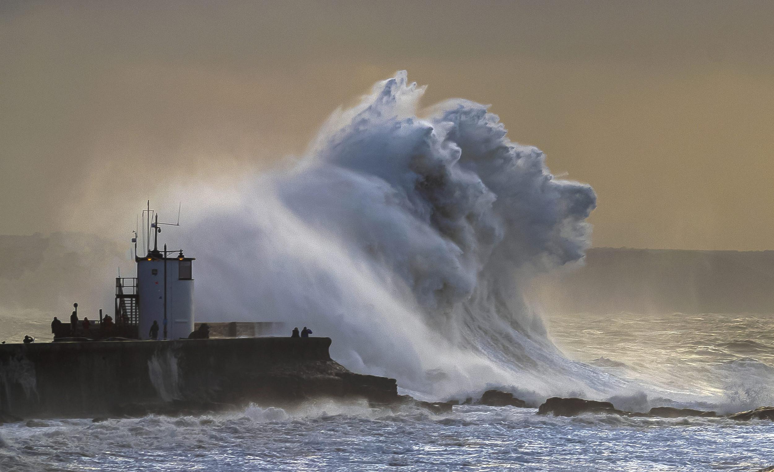 英国:巨浪拍岸形成奇妙动物形态