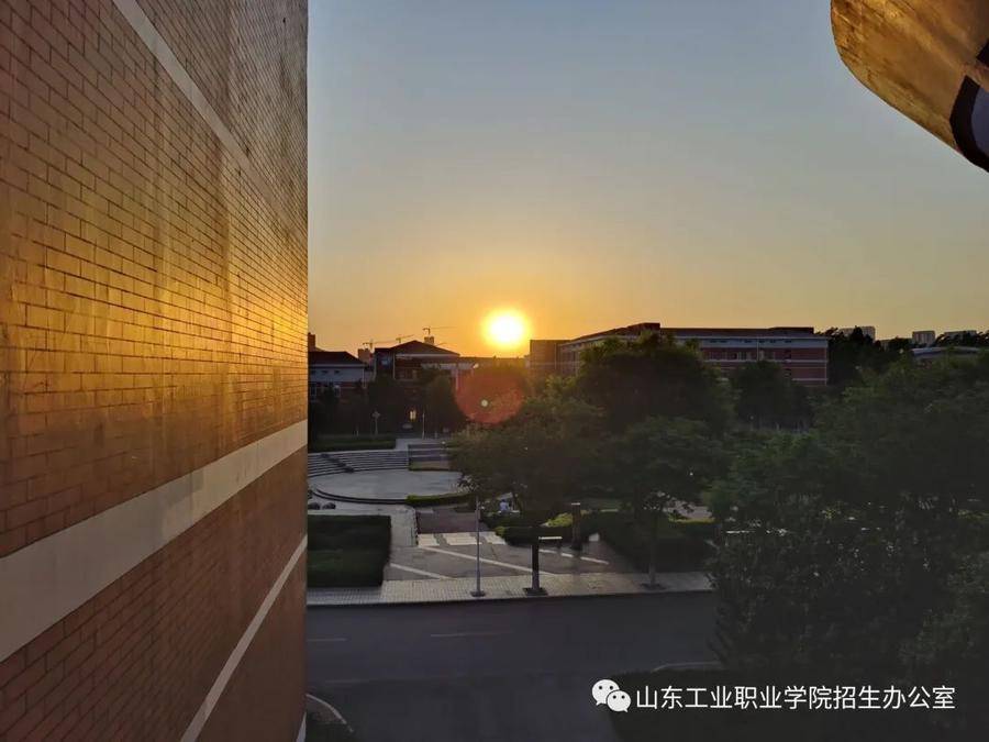 夏天,你好!山东工业职业学院的校园,绿意盎然!
