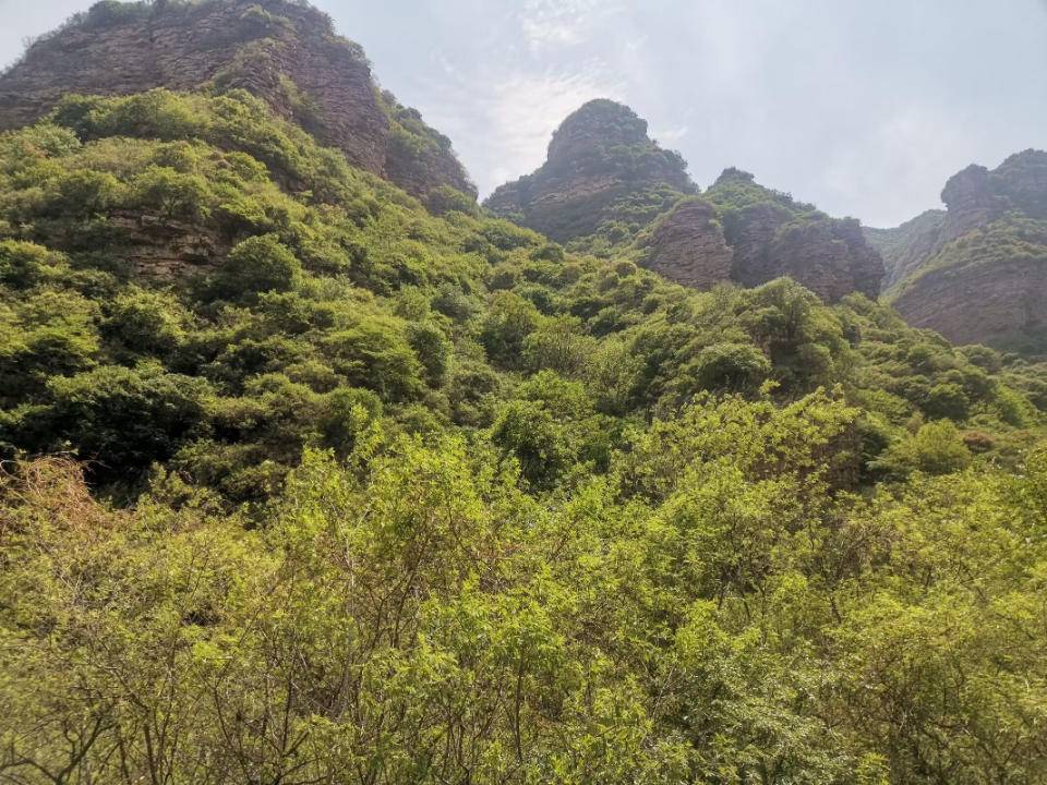 游"十六沟"(散文)