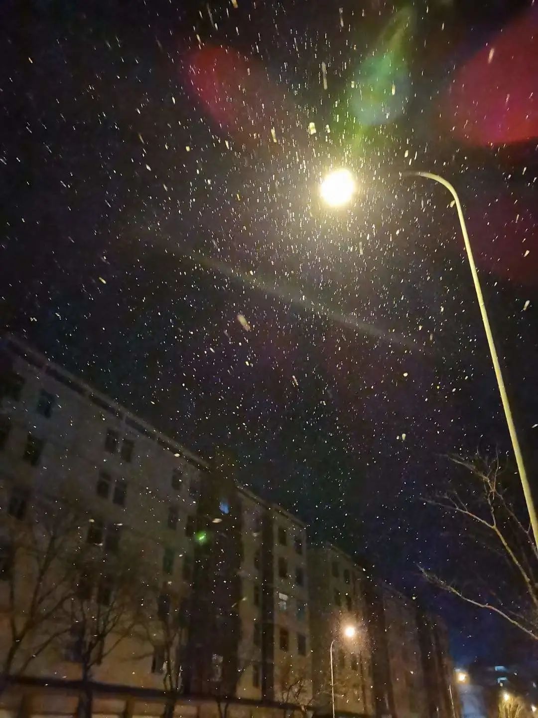 广元城区也下雪了!现在窗外还在飘