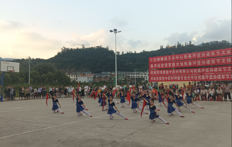西峡县桑坪镇:夏季篮球运动会为山乡带来清凉