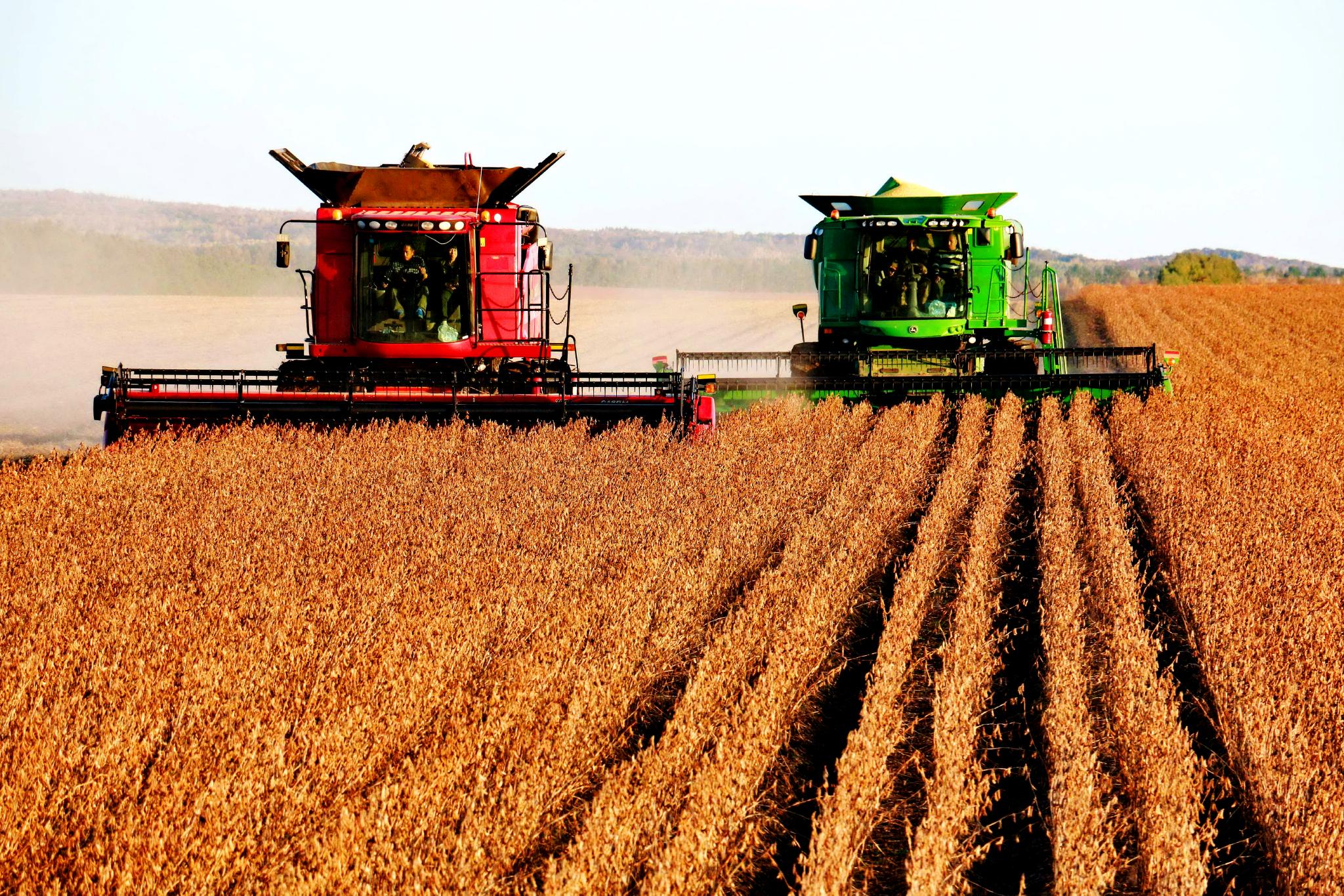 春耕在即,专家出谋划策:这样种大豆 保质又增收