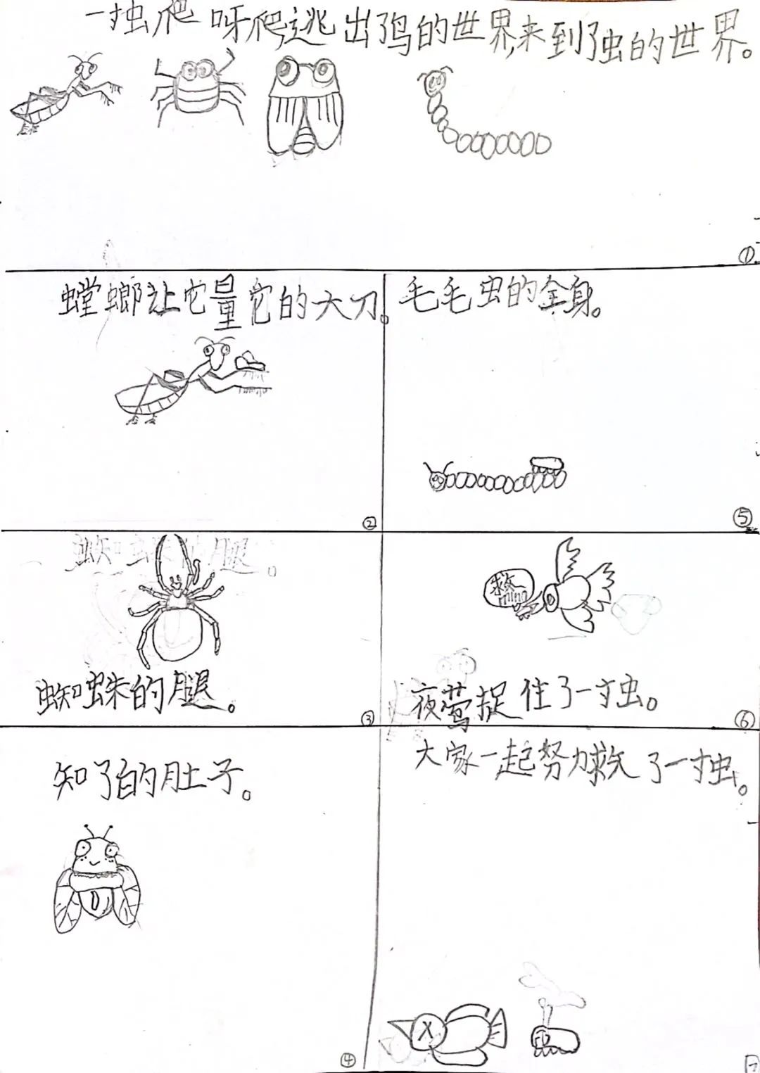 《一寸虫》的写绘日记