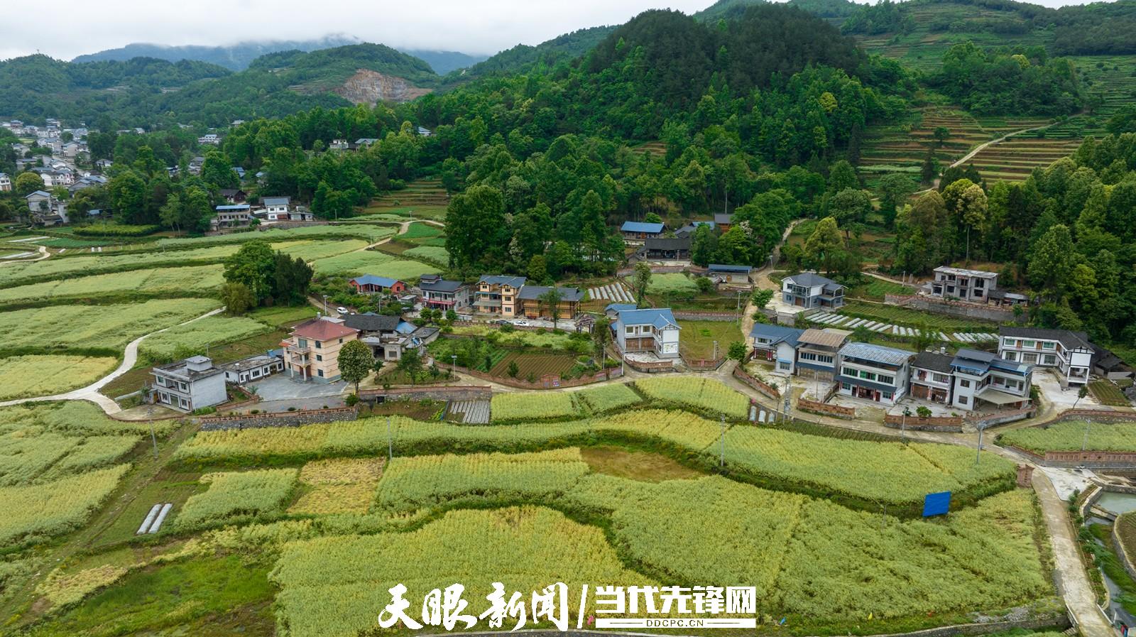 凤冈县琊川镇:"站长说事"平台 助力基层工作