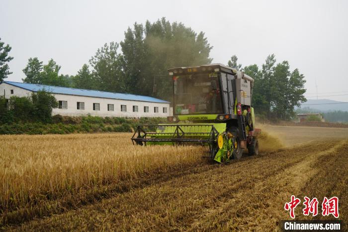 河南多举措抢收夏粮 紧急下拨2亿元专项用于小麦烘干