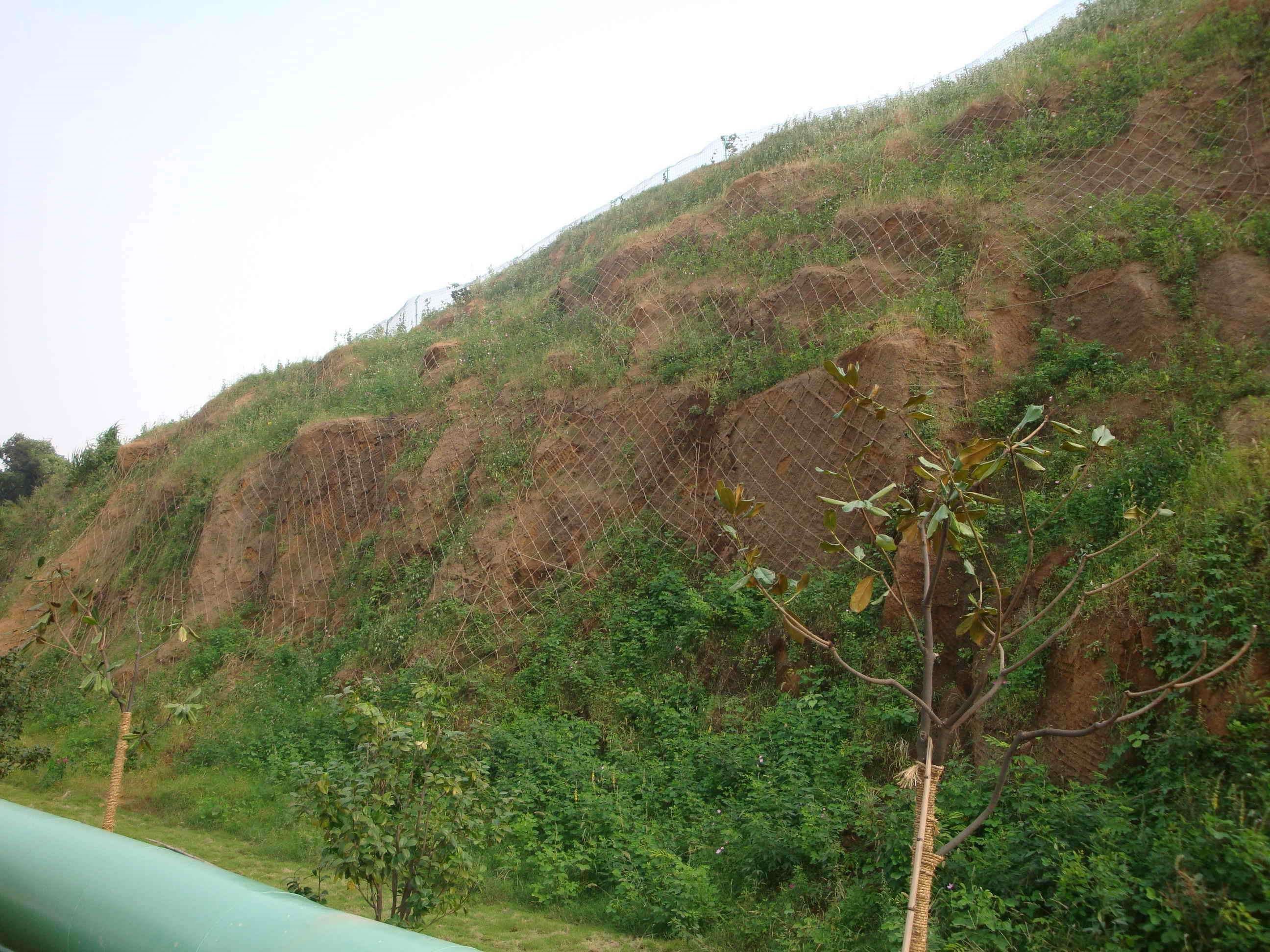 合肥边坡防护网(公路边坡防护网批发)
